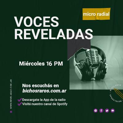 Voces Reveladas-”Violencia silenciada: el incumplimiento de cuotas alimentarias”