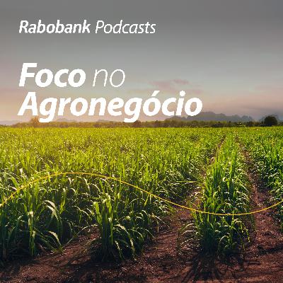 Olho no Mercado | Açúcar visto de Nova Iorque  Â