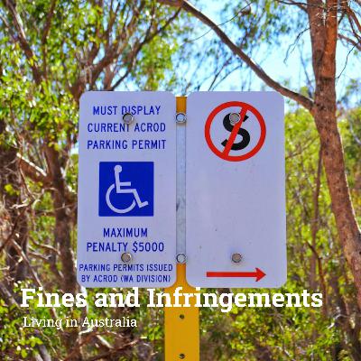 Ep 78 - What Do You Need to Know About Fines, Infringements, and Due Dates Ep 78 - What Do You Need to Know About Fines, Infringements, and Due Dates