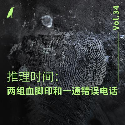 034 推理时间:两组血脚印和一通错误电话