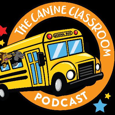 Ep. 25- Electric Collars & Off Leash Safety with Abbey White