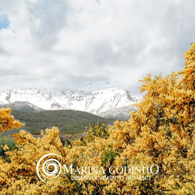 Prática Foco e Concentração