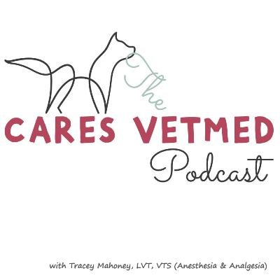 Episode 007: #SaveTheSmushies - A Conversation About Brachycephalics With Elisa Mazzaferro, MS, DVM, PhD, DACVECC Episode 007: #SaveTheSmushies - A Conversation About Brachycephalics With Elisa Mazzaferro, MS, DVM, PhD, DACVECC