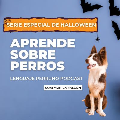 🎃🐶 ¿Disfrazar a tu perro o no? Lo que debes saber antes de decidir. Ep.33