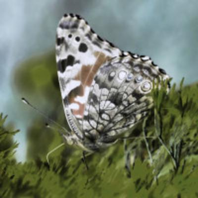 Trailer for Butterflies in the Garden: Episode 1 Danger Above by Vivian Munnoch Trailer for Butterflies in the Garden: Episode 1 Danger Above by Vivian Munnoch