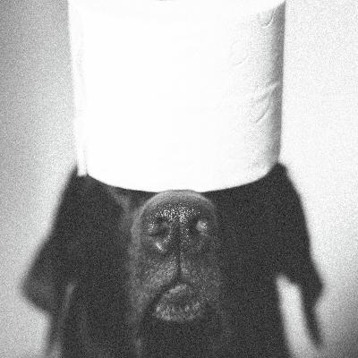 Party for Two - Throwing Your Dogs Poop in Someone Else’s Garbage - Ontario man alleges ChatGPT drove him to Psychosis