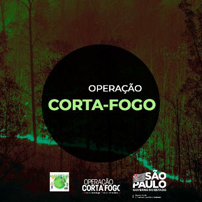Operação Corta-Fogo Operação Corta-Fogo