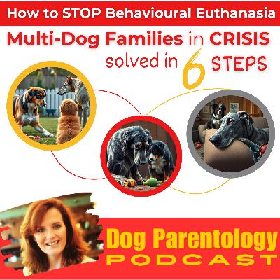 How to Stop Behavioural Euthanasia: 6 Steps to Save Multi-Dog Families with Systems Thinking