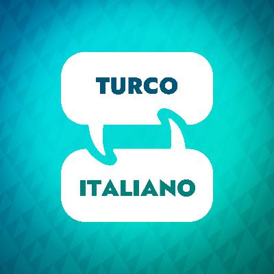 Introduzione al Learning Accelerator turco