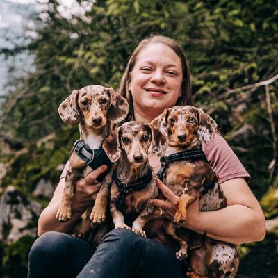 18. 10 Things I Will Absolutely Train Every Dachshund That I Own