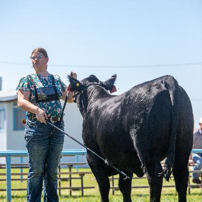 Data Informs the Economic Story of Cattle Production
