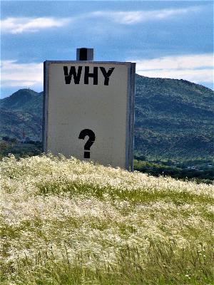 Game on! Quantified motivation & value capture: things we don't notice in online social life