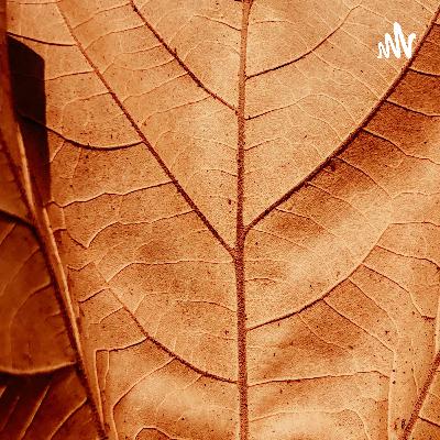 400.呸!“国产”编程语言“木兰”套壳造假! 400.呸!“国产”编程语言“木兰”套壳造假!