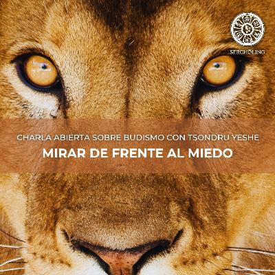MIRAR DE FRENTE AL MIEDO