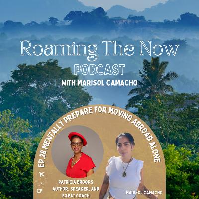 EP 28 How do I mentally prepare for moving abroad alone? With Patricia Brooks, Expat Coach in France