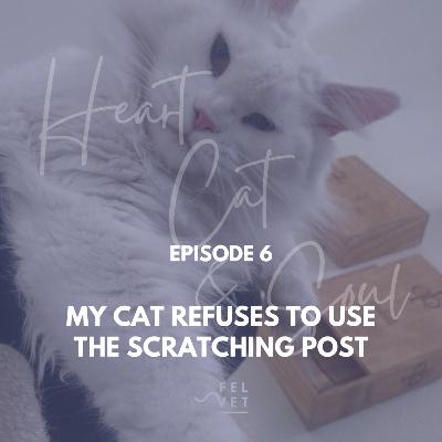 EPISODE 6: Scratching Post Secrets: Why Your Cat Won’t Use It and How to Fix It
