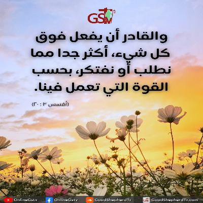 الانضباط على مشيئة وتوقيت الله - خبزنا اليومي