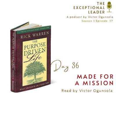 Day 36 - Made for a Mission Day 36 - Made for a Mission