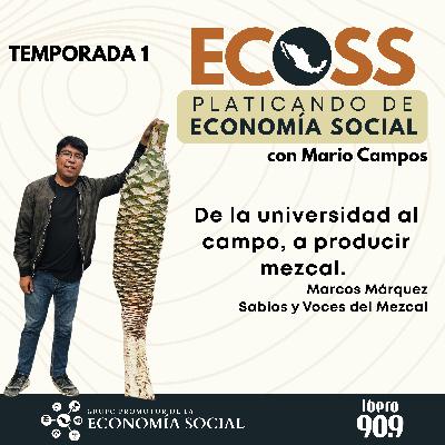 ECOSS. Platicando de economía social: de la universidad al campo, a producir mezcal. Marcos Márquez Sabios y Voces del Mezcal ECOSS. Platicando de economía social: de la universidad al campo, a producir mezcal. Marcos Márquez Sabios y Voces del Mezcal