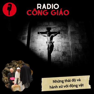 Những thái độ và hành xử với động vật.