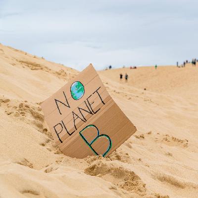 Gesellschaft - Warum die Klimawende gescheitert ist Gesellschaft - Warum die Klimawende gescheitert ist