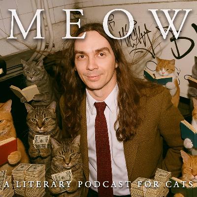 47. Simon & Schuster's Sean Manning Publishes Stray Cat