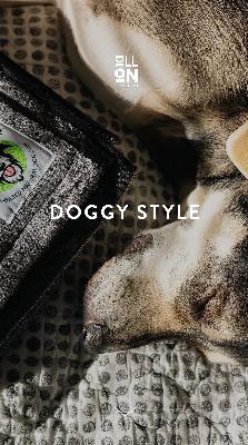 Pet Products by Doggy Style