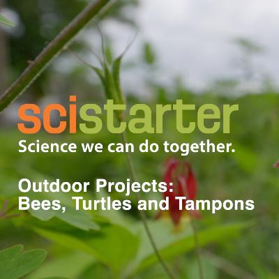 Bees, Turtles and Tampons Bees, Turtles and Tampons