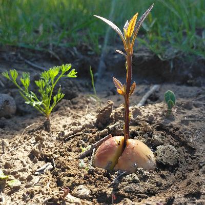 15. Leggerezza non vuol dire superficialità 15. Leggerezza non vuol dire superficialità