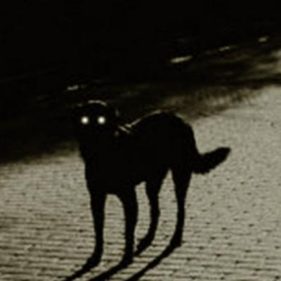 La Comida del Perro - Cuento - Darwin Pinto