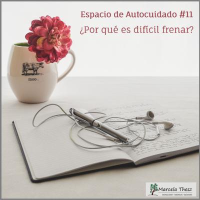 Capítulo 11: ¿Por qué es tan difícil frenar?