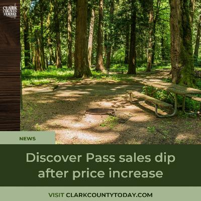 Discover Pass sales dip after price increase