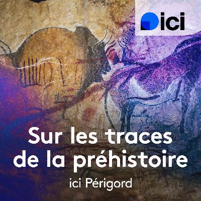 Jean-Paul Demoule : « Jadis, on pensait que les mammouths étaient les éléphants d’Hannibal ! »