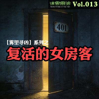 Vol.013 | 雾里寻凶：复活的女房客——一场由网恋引发的连环骗局与谋杀