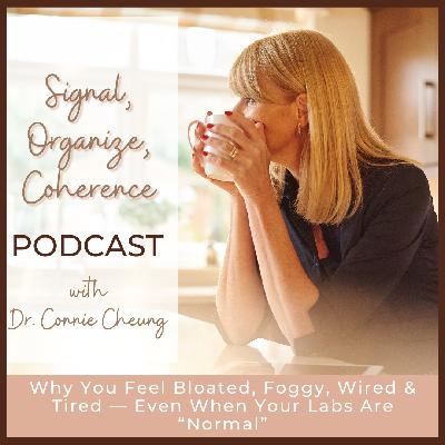 Why You Feel Bloated, Foggy, Wired & Tired — Even When Your Labs Are "Normal"