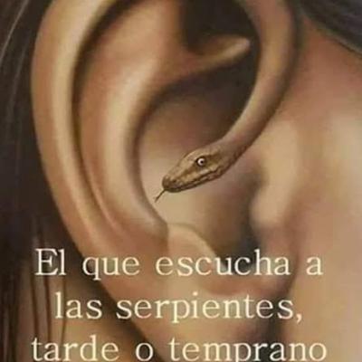 Quien escucha la serpiente tarde o temprano termina envenenado