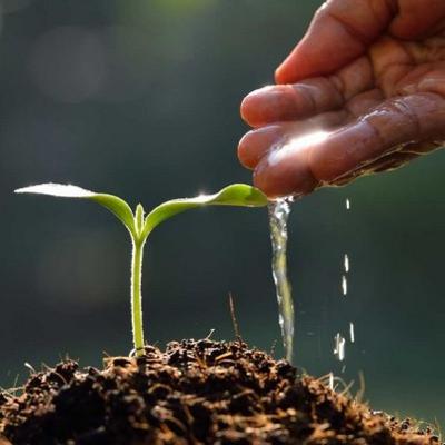 THE LAW OF SOWING & REAPING
