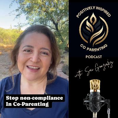 Dealing with Non-Compliance from the Other Parent (Part 1) Dealing with Non-Compliance from the Other Parent (Part 1)