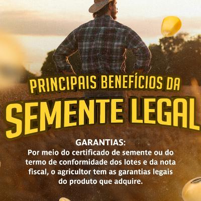 MOMENTO APASEM #112: Produtor tem Garantias quando Compra Semente Legal
