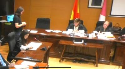 Elena Mayor, resumen delitos probados según el jurado