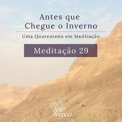 Meditação 29 - Jesus