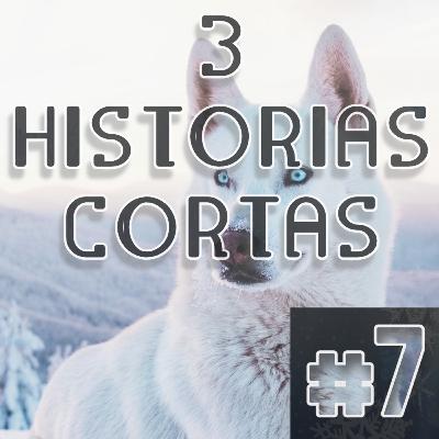 Los Lobos / La Lección de Merlín / El Principito y la Rosa - Reflexiones Para el Día a Día Los Lobos / La Lección de Merlín / El Principito y la Rosa - Reflexiones Para el Día a Día
