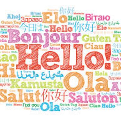 Det norske språket nå og da