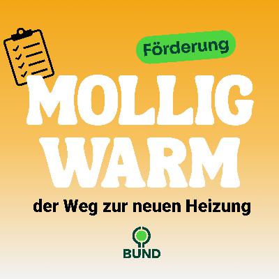 Folge 3 Fördergeld vom Staat erfolgreich beantragen