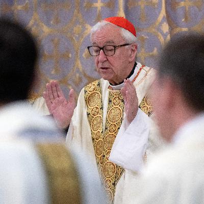 Cardinal Nichols’ homily after Pope Leo XIV’s election