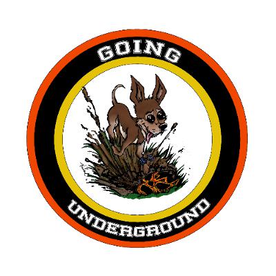 Going Underground Installment #17: Now Kids That Is How The F' You Do A Go Home Show Going Underground Installment #17: Now Kids That Is How The F' You Do A Go Home Show