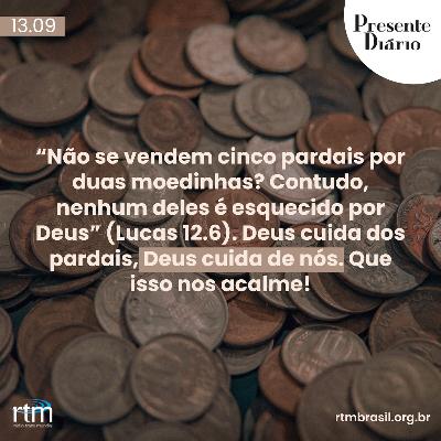 Como um pardal