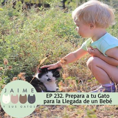 Ep. 232 gato y nuevo bebé