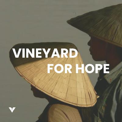 Vineyard for hope I 15. juni 2025