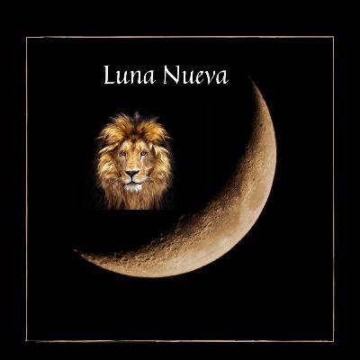 Luna nueva@12 de leo